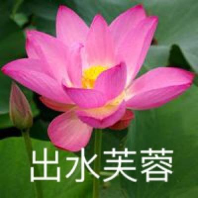 祝大年95件作品在清华艺博展出，揭秘《森林之歌》里的鸟语花香